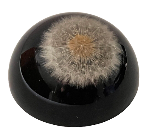 Fermacarte vintage mezza cupola fiore di tarassaco lucite acrilico firmato MCM decorazione - Foto 3 di 6