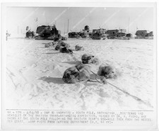 o73441 1958 orig photo Antarctica South Pole expedition Sir Edmund Hillary, Dr V