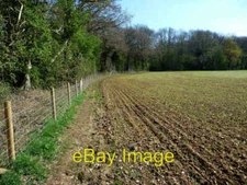 Photo 6x4 Field near East Hoe Manor Hambledon 2 c2009