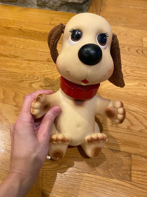 dog bath toy