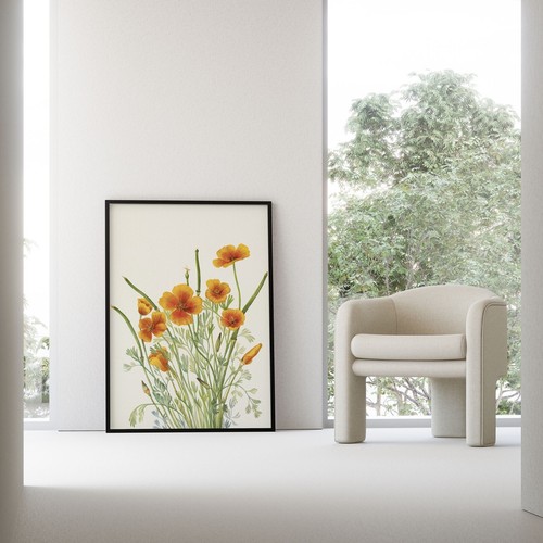 Mexican Poppy by Mary Vaux Walcott (1925) Premium Wall Art Poster Print - Picture 7 of 12