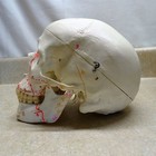 Foto 2 di 9