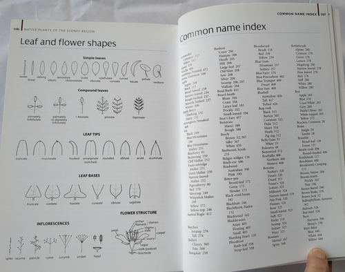 Native Plants of the Sydney Region, 3rd ed ~ A. Fairley & P. Moore, 2010 - Picture 15 of 15