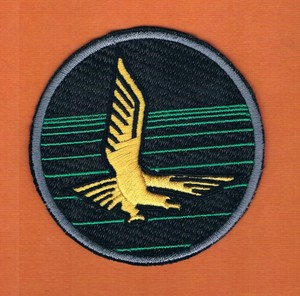 Details About Israel Idf Air Force Golden Eagle F 35 Adir Mighty Squadron New Patch