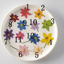 12PCS real Pressed dry Flower with stem, dyed colors flower for art craft FSS23