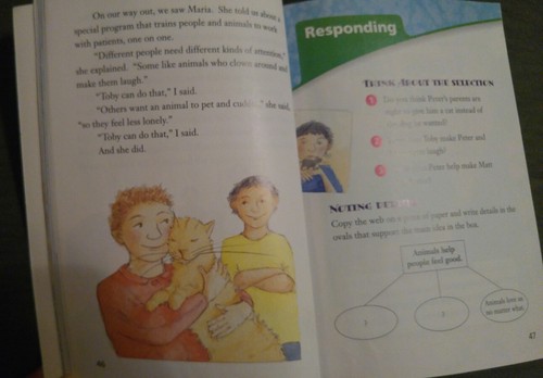 Houghton Mifflin Reader 5th Grade 5 Person to Perso Critical Thinking Homeschool - Picture 3 of 4