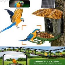 Smart Bird Feeder with Camera 1080P HD 2K Auto Capture Bird Videos  Solar WiFi