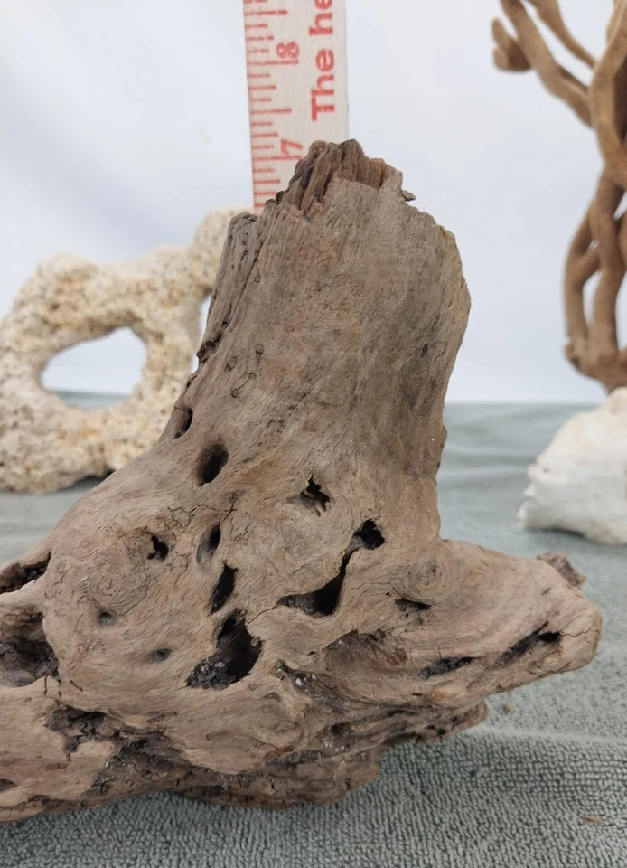 "Escultura de madera a la deriva natural 24"" arte de reptiles de acuario decoración de pecera" Foto 3 de 4