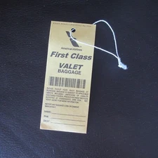 American Airlines FIRST CLASS valet baggage bag tag halloween costume suitcase