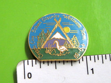 Oregon City SCHOOL DIST. WELLNESS TEAM - hat pin , tie tac , lapel pin GIFT BOXD