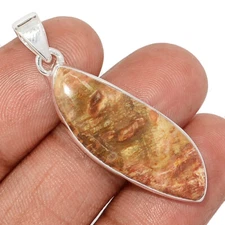 Natural Petrified Wood (Araucaria) Navajo County 925 Silver Pendant CP61762