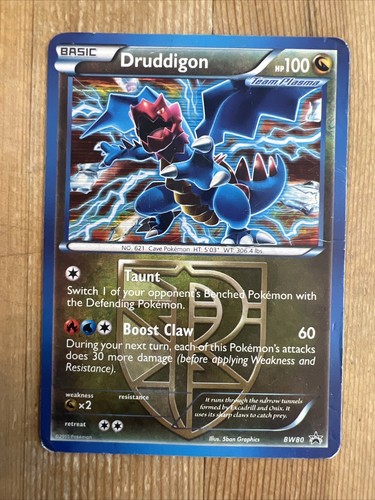 Pokémon TCG Druddigon BW Black Star Promos BW80 Holo Promo DMG #2