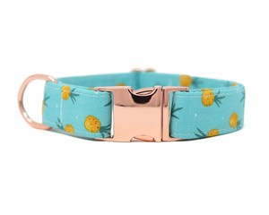 pineapple dog collar