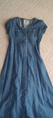 Raphael denim dress