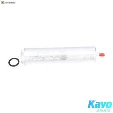 KRAFTSTOFFFILTER FFF-10031 F�R BMW X5/E70/F15/F85 X6/E71/E72/F16/F86 X3/E83 1.6L