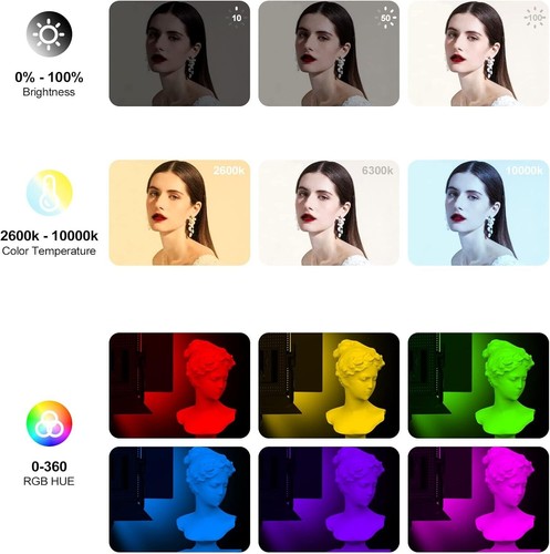 Versatile 2600K-10000K RGB Video Light with Mobile App Control & Carrying Bag - Picture 4 of 9
