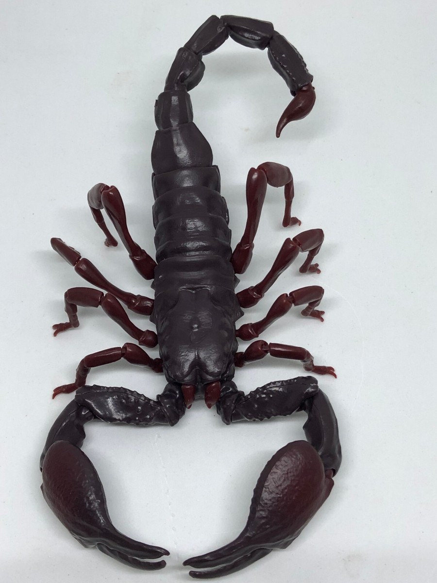 Bandai scorpion capsule No.2 