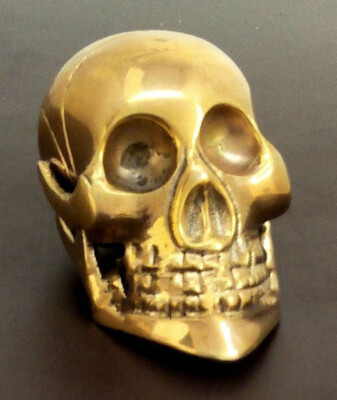 Skull Head Handle Designer Casual Dress Accessory Walking Cane Prop Gift for Dad