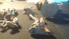 Bild 24 von 24