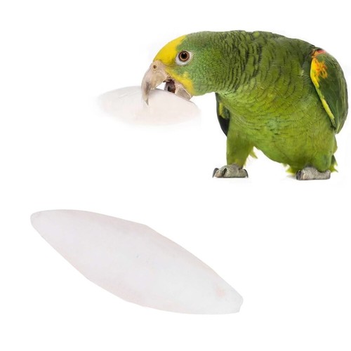3Pcs Cuttlebone Bird Food Calcium Pickstone Parrot Birds Teeth Grind Training - Picture 12 of 12
