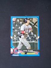 2018 Bowman Draft Blue /150 Raynel Delgado #BD-176