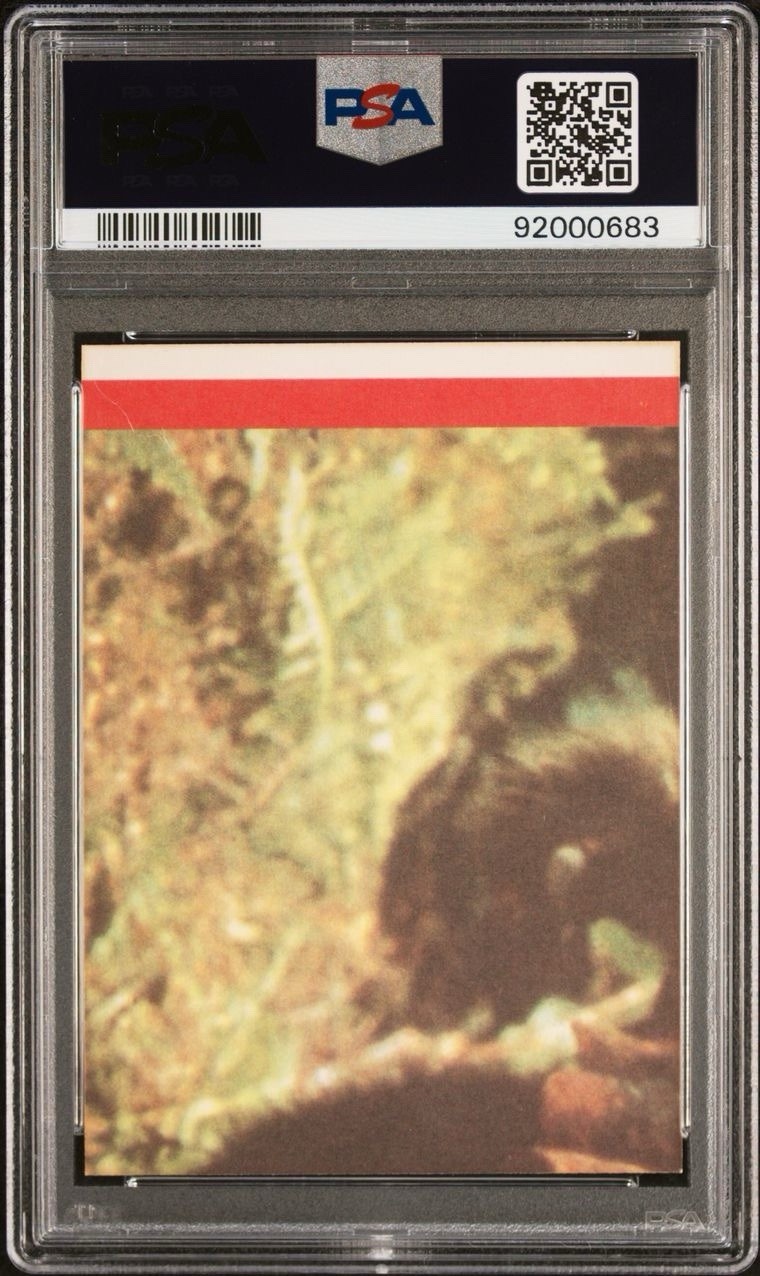 1983 Topps STAR WARS RETURN OF THE JEDI STICKERS #9 Princess Leia PSA 8 Purple view 2
