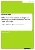 Claudia Rumms | Hybridity As A Key Element In The Process Of Identity...