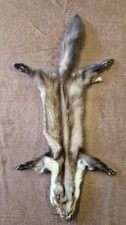 Marderfelle Steinmarder Baummarder Marder Larp Mittelalter Top gegerbt Neu