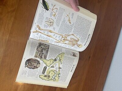 The Random House Children's Encyclopedia Revised Edition The Random House Children's Encyclopedia Revised Edition