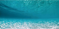 48X24 Inches Undersea Aquarium Background Pool Ocean Floor Aquarium Background U