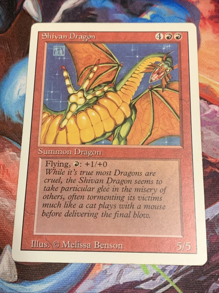 マジック：ザ・ギャザリング 1994 Magic: The Gathering Tundra NM 1994 Magic The Gathering Revised Tundra | PSA CardFacts®