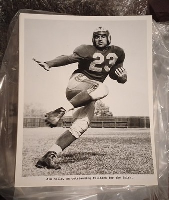 Jim Mello Notre Dame College Football Player 8x10 Glossy Black and White Photo