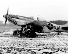 North American P-51 Mustang World War II WWII WW2 8x10 Photo 394c