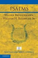 Psalms | Walter Brueggemann (U. A.) | Taschenbuch | Kartoniert / Broschiert