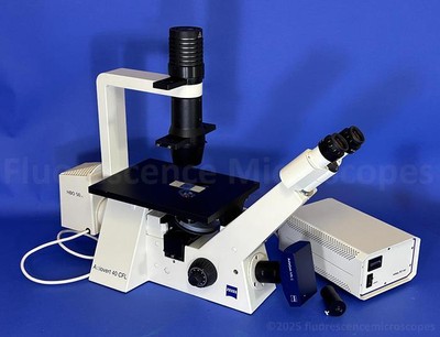 Zeiss Axiovert 40 CFL Inverted Fluorescence Phase Contrast