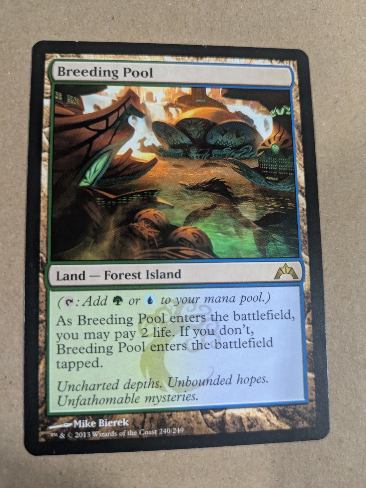 Breeding Pool - MTG - Gatecrash - NM