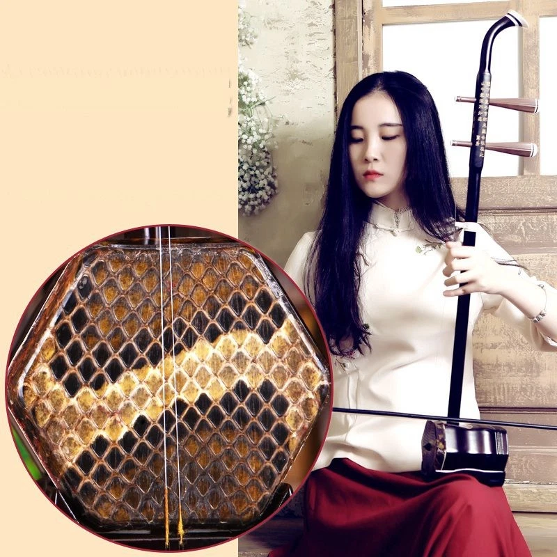 Buy erhu 2024