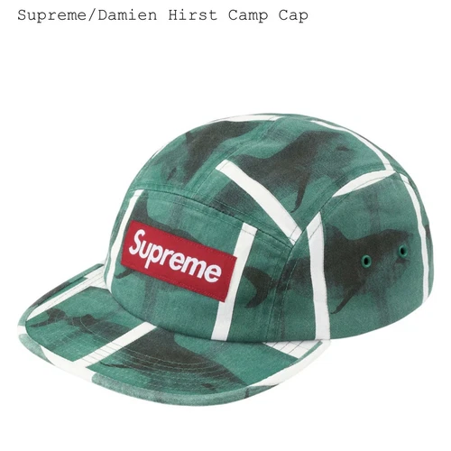 Casquette de camp Damien Hirst Supreme blanc vert chapeau de requin réglable livraison gratuite
