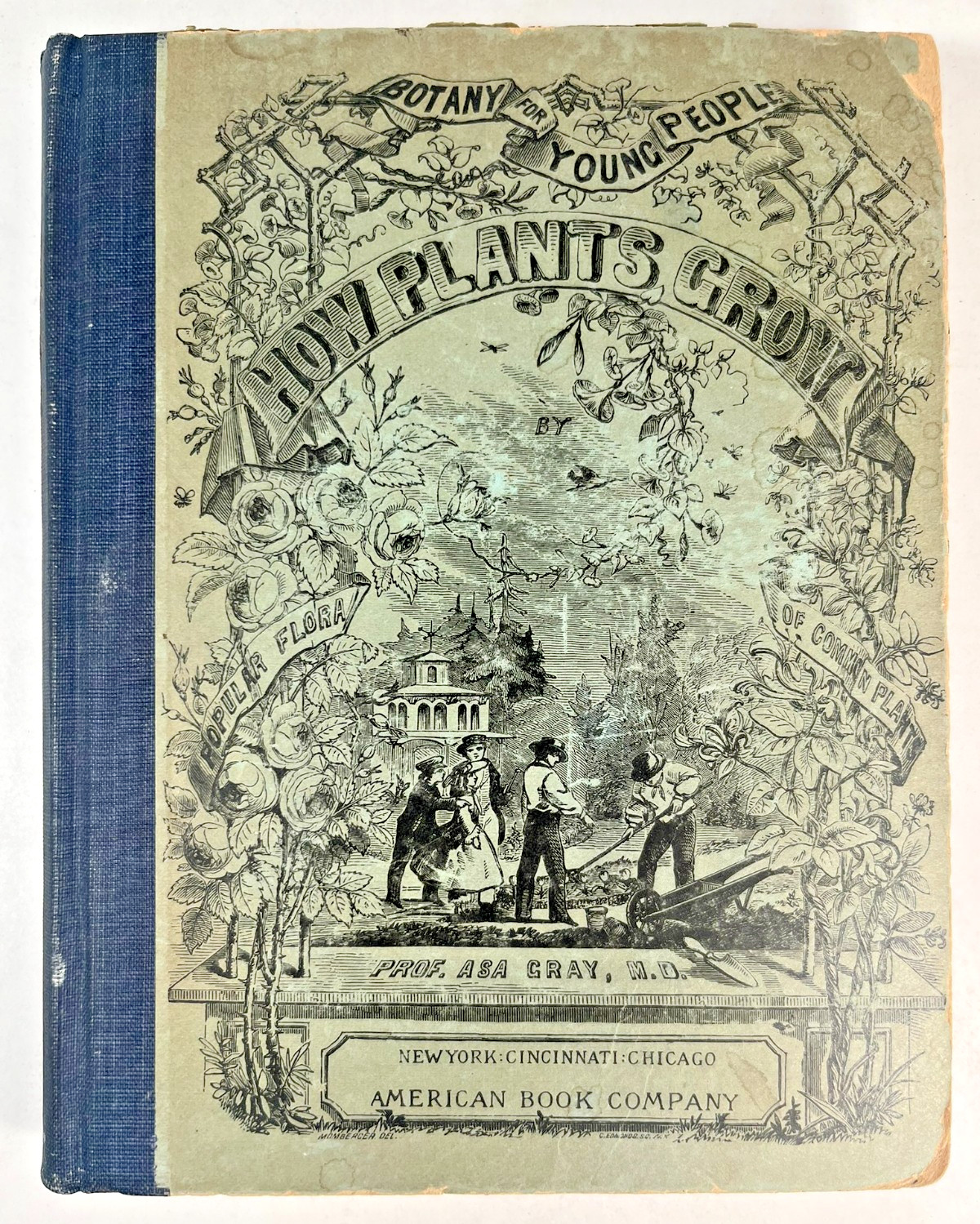 How Plants Grow with A Popular Flora by Asa Gray, M. D. 1858 ACCEPTABLE