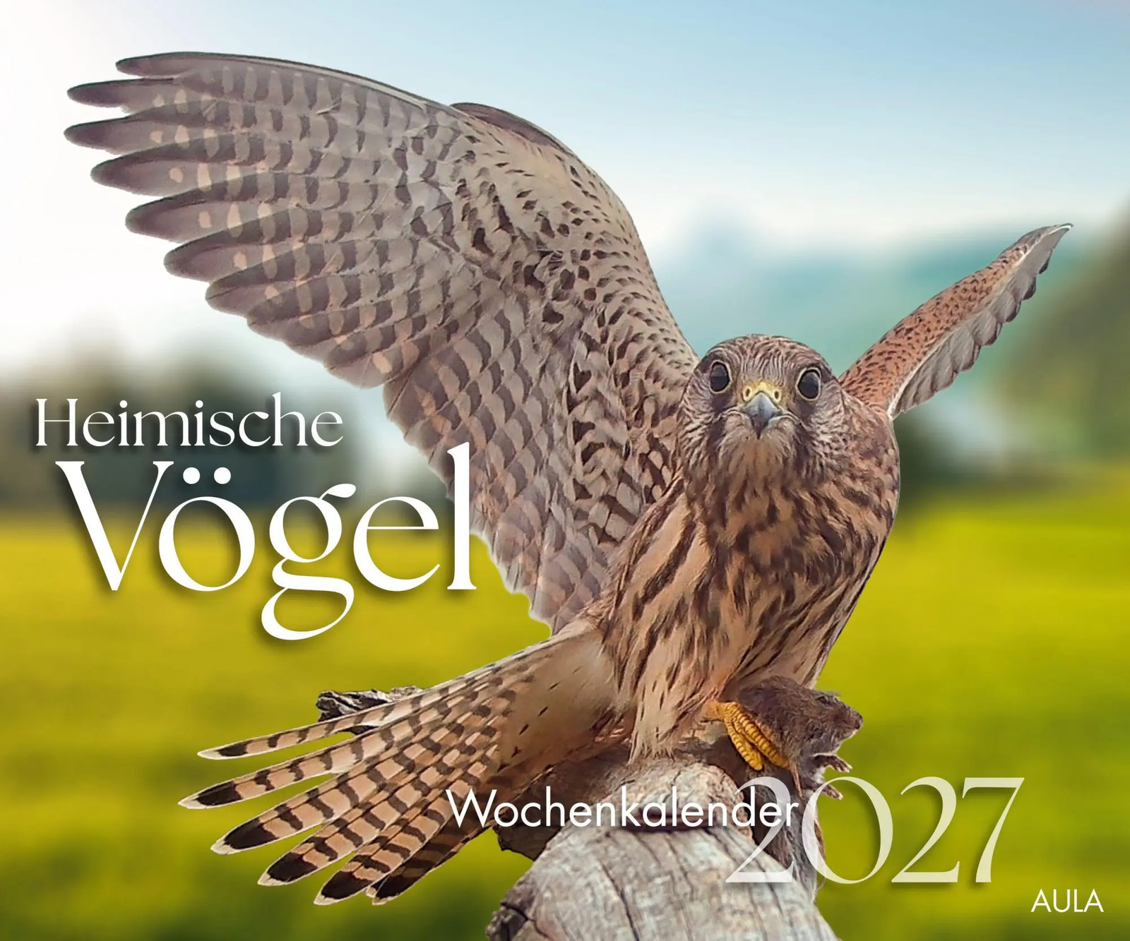 Heimische Vögel 2027 - Wochenkalender | Wochenkalender | AULA-Verlag | Kalender - Bild 6