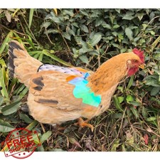 HOUGXD Chicken Saddles for Hens Adjustable Hen Apron Feather Protector Black