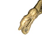 Vintage Brass Greyhound Whippet Dog Statue Sculpture Art Deco Hollywood Regency  — photo 6