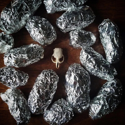 10 MEDIUM OWL PELLETS - Sterilized - Nature study - Classroom activity