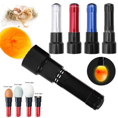 LED Prüflampe Schierlampe Bruteier Eierdurchleuchter Eier Inkubator Brutmaschine - Bild 1 von 4
