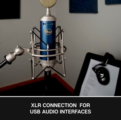 【匿名配送】Bluebird SL BLUE MICROPHONES Blue Bluebird SL Studio Condenser Microphone 836213005019| eBay