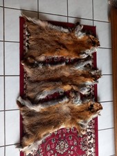 Echt Fell Vom Deutschen Rotfuchs