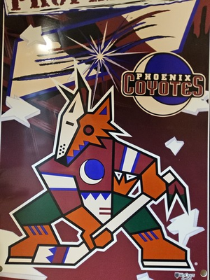 #ad Wincraft Property of Phoenix Coyotes Wall Sign 19quot; x 12quot; NHL FAN $13.95