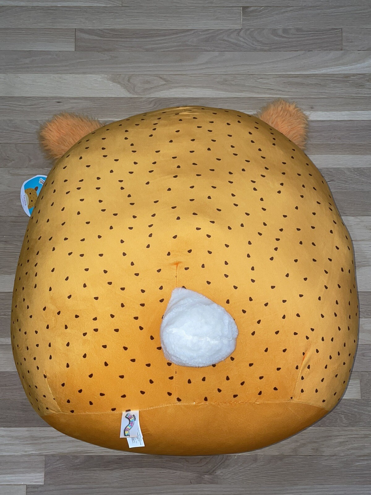 bunny squishmallow 24