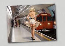 Fridge magnet Pin up Girl Lingerie Model / Woman . Stockings - Suspenders (132)