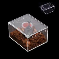 3.9x3.3x2.3in Insect Breeding Box, Reptile Feeding, Waterproof, Tarantula